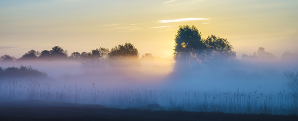 misty, sunny morning in the countryside

