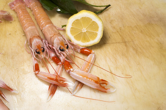 Gamberi Bilder Durchsuchen 5,987 Archivfotos, und