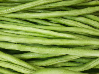 Cowpea