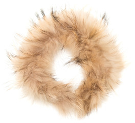 brown fur on a white background