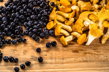 Background with chanterelles mushrooms and blueberries on wooden table