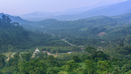 Naklejka premium Krungshing fog view point/ sea of fog, at Noppitam, Nakhon Si Thammarat, Thailand.