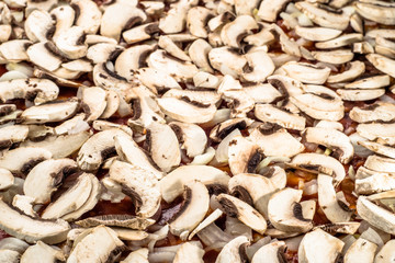 Slices of mushrooms