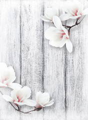 Fototapeta premium Magnolia flowers on background of shabby wooden planks