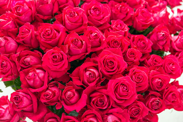 Obraz premium Red rose romantic bouquet