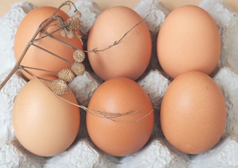 Eggs