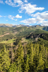 Obraz premium Tatra mountains, top of Nosal, Zakopane, Poland