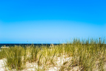 Landscape with beach sea view, sand dune and grass