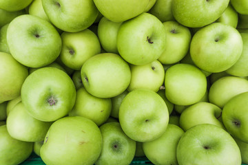 Green Apple Background