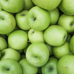 Green apples.  Group of green apples
