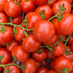 Red tomatoes.  tomato