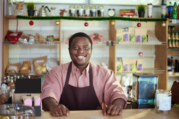 Cheerful shop assistant