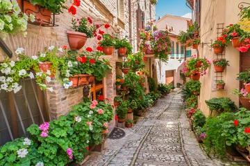 Foto op Plexiglas Kleine stad in zonnige dag, Italië, Umbrië © shaiith