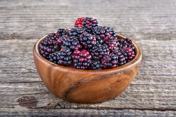 Organic home grown freshly picked blackberries from the garden