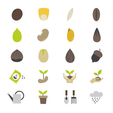 Seeds and Gardening Flat Color Icons