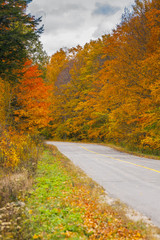 the view down a scenic country roadway in autumn landscape