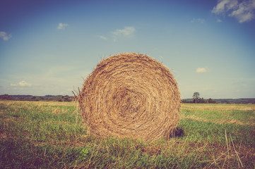 Hay bale on field