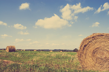 Hay bales on field