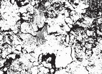 Fototapeta premium Texture Overlay For Your Design. Black and white grunge backgrou