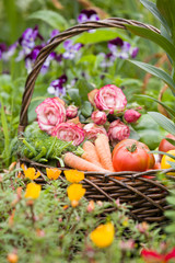 Basket with organic vegetables on the green grass and flowers. Outdoors. freshly harvested vegetables. raw vegetables in wicker basket. summer garden background.