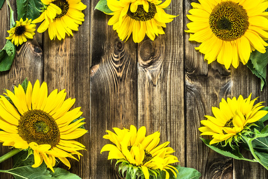 Sunflowers on rustic wood background. Flowers backgrounds.