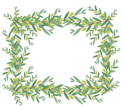 Watercolor olive wreath. Isolated illustration on white backgrou