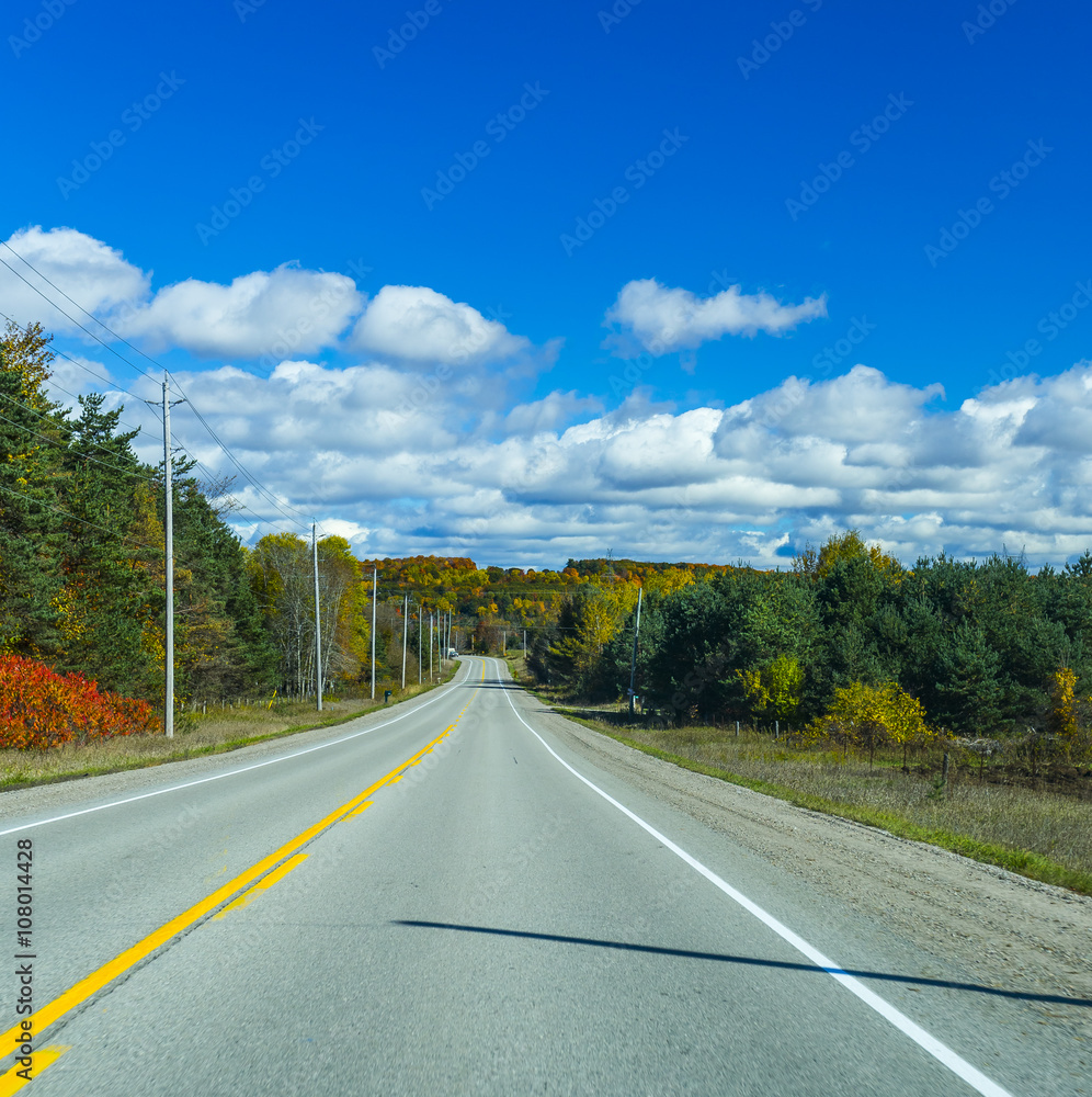 Wall mural the view down a scenic country roadway in autumn landscape