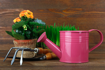 garden tools with grass and flowers on sackcloth on wooden background © Studio KIVI