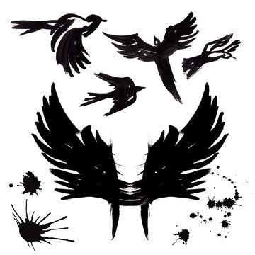 Birds in flight and the wings.A set of images of birds in ink and brush. Template for tributes to decorative compositions.Silhouette.