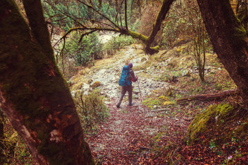 Hike in Nepal jungle