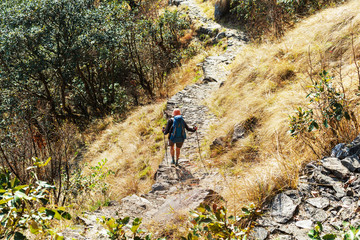 Hike in Nepal jungle