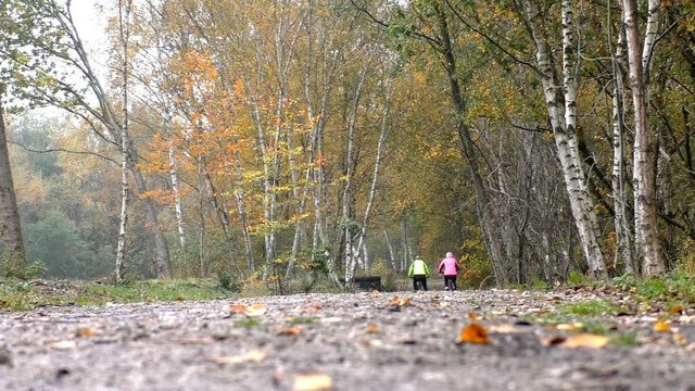 Low angle rear view of a couple riding bicycles in the birch grove in autumn