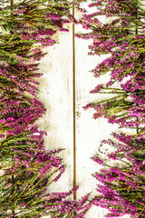 Flowers of heather in purple color on rustic wood background
