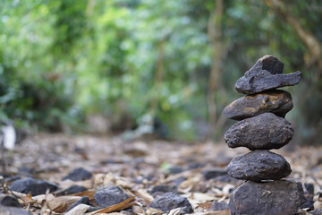 Sort  stones.