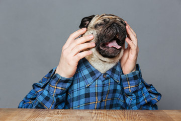 Desperate sad pug dog with man hands sitting and crying