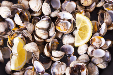 prepared cockles, shellfish