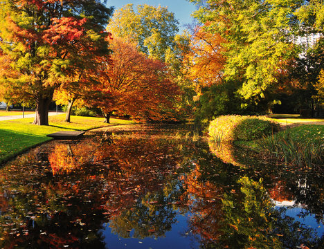 Autumn Scene In Rotterdam City Park, Netherlands