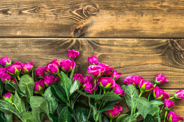 Pink roses flowers arranged on wood background.
