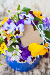 Bunter Strauss Fruehlingsblumen