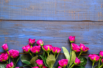 Pink roses flowers arranged on wood background