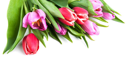 bouquet of tulips