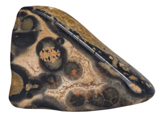leopard skin jasper macro, isolated on white background