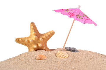Fototapeta na wymiar Starfish and seashells in beach sand on a white
