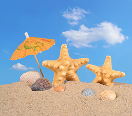 Fototapeta na wymiar Starfishs and seashells on a beach sand