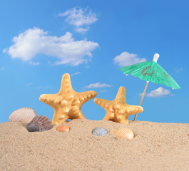 Starfishs and seashells on a beach sand