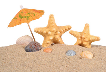Fototapeta na wymiar Starfishs and seashells in sand on a white