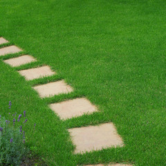 Obraz premium Beautiful lawn and path