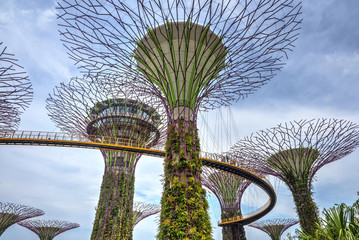Beautiful Singapore gardens by the bay