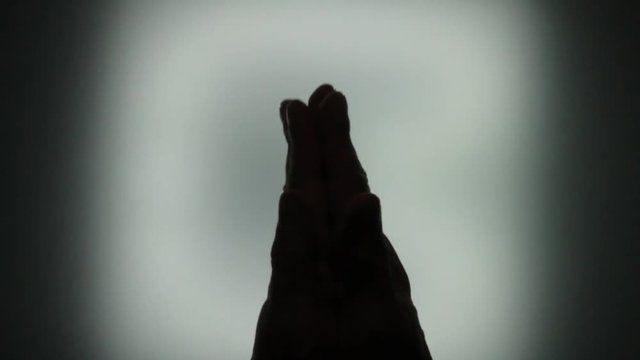 Hands clapping. Palm silhouette on white background