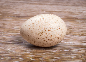 Fototapeta na wymiar Turkey egg on wooden background